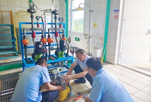 56fd750dc3c330f60264e036cc81fc6